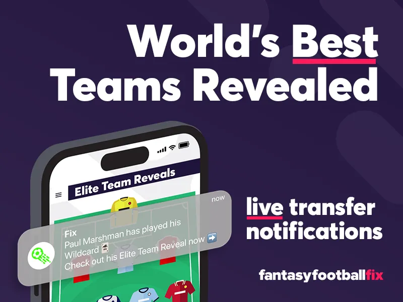 Banner for FPL team reveal tool