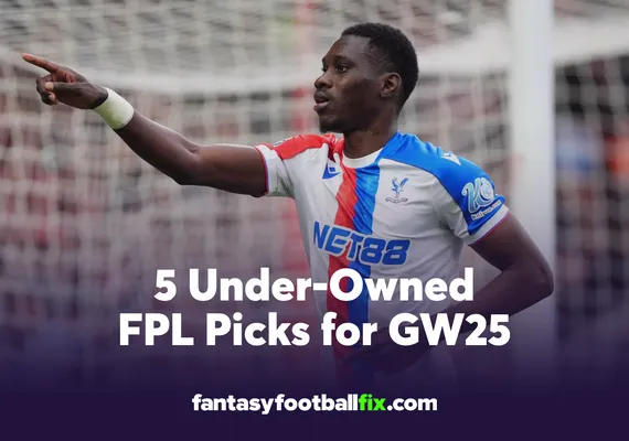 FPL Gameweek 25 differentials