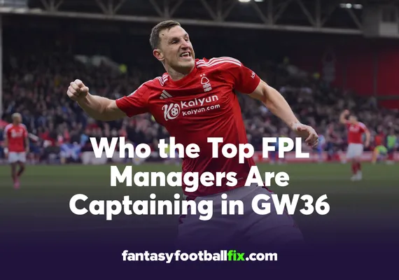 FPL Top Captains