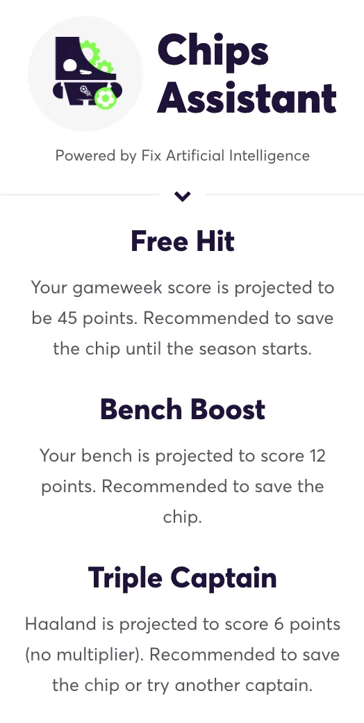 AI chip assistant for FPL